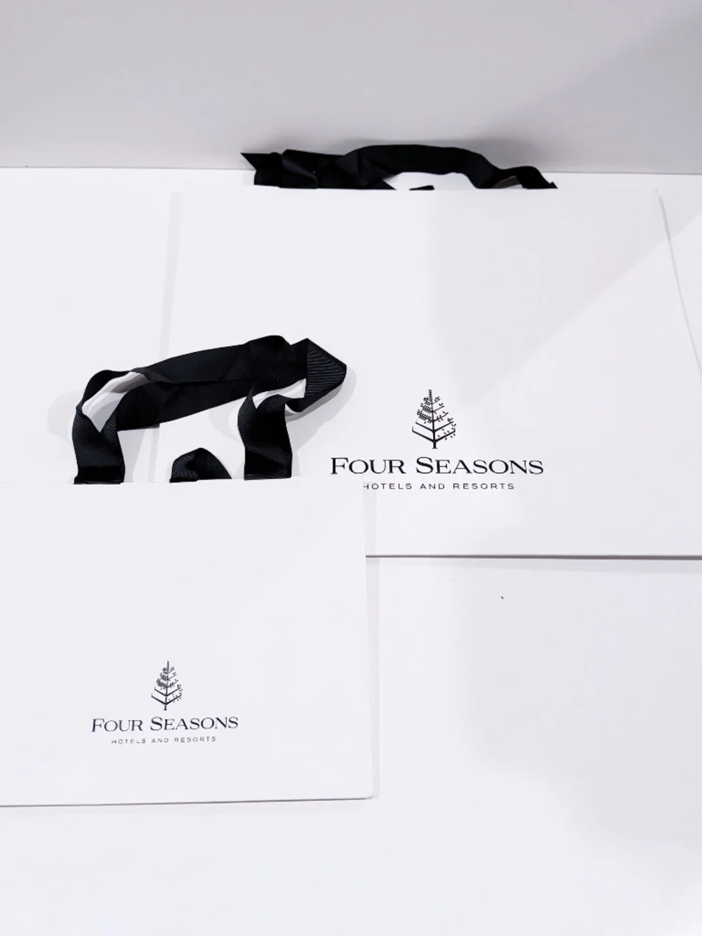 Four Seasons Hotels & Resorts Gift Bags Set of 2